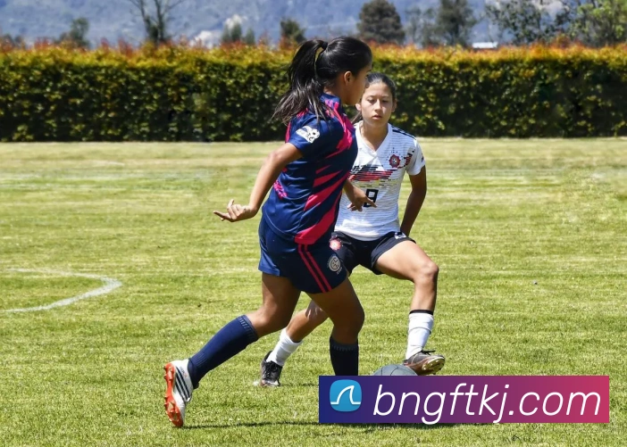 平台展示图